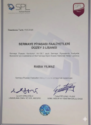SPL Düzey 3